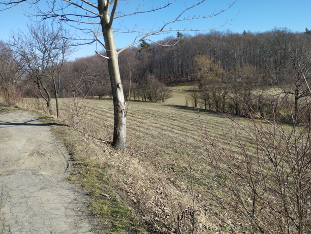 brak fotki