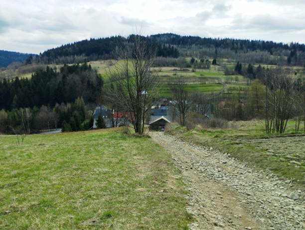 brak fotki